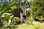 Photos of El Balsamo