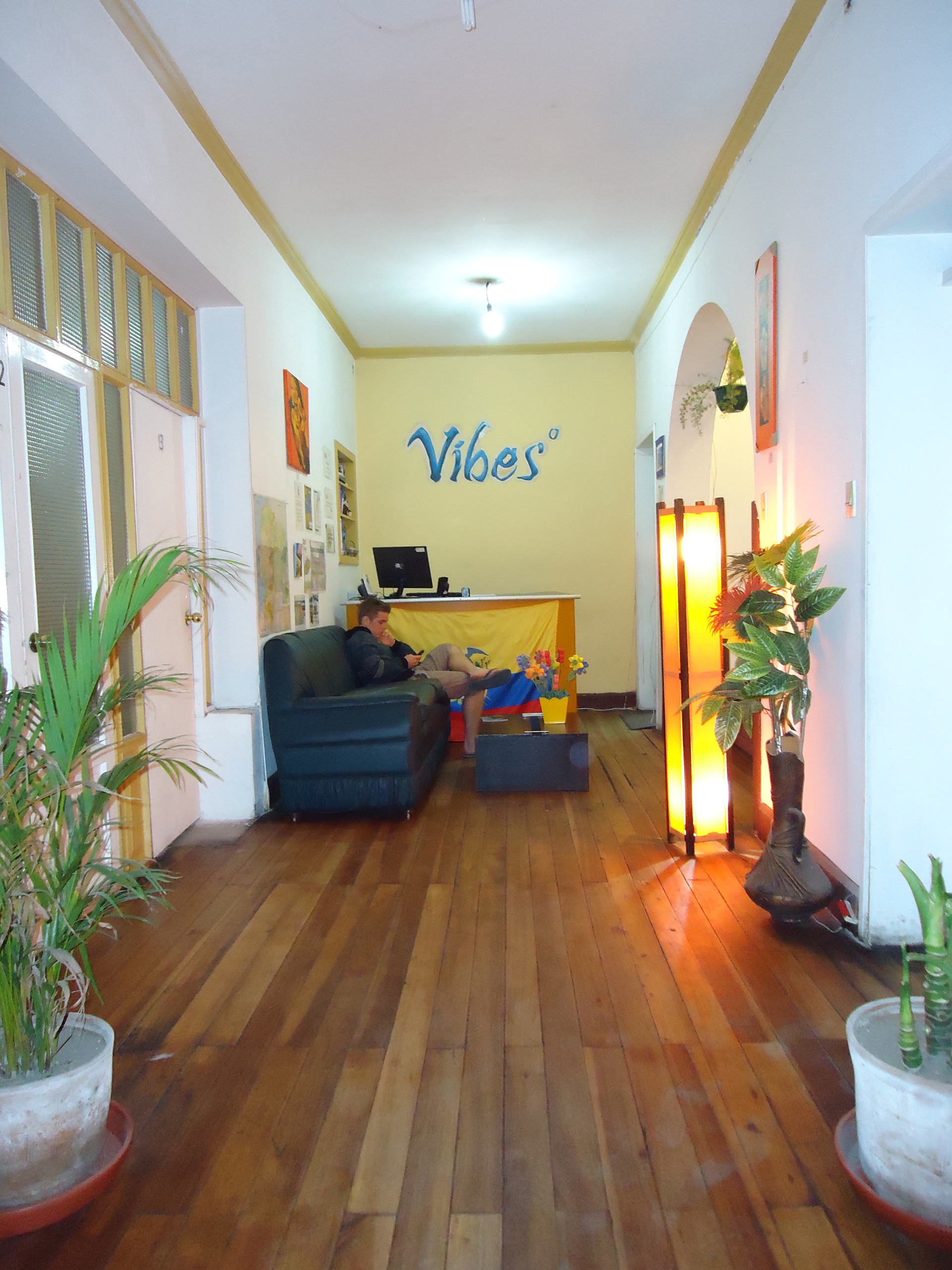 Vibes Hostel  3