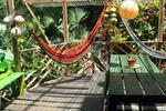 Walaba Hostel and Beach Houses - Image 3