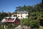 Roatan Backpackers' Hostel - Image 3