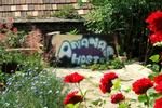 Ananas Hostel - Image 9