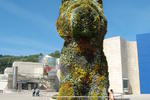 Surfbackpackers Bilbao - Image 6