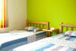 Wake Up Naturally - Image 6