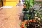 Photos of The Sleeping Indian Hostel