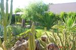 B&B Le Dune - Image 6