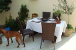 Mike Guesthouse - Image 4