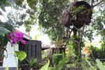 Villa Shade - Image 10