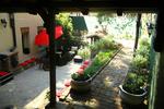 Photos of Hedonist Hostel