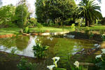 Somersal B&B - Image 5