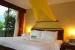 Photos of Club One Seven Phuket