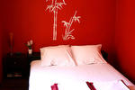 The Drunken Monkey Hostel - Image 9