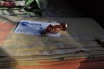 Photos of Nerpa Backpackers