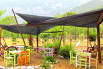 Jungle Bells Hostel - Image 4