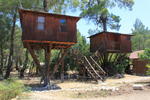 Jungle Bells Hostel - Image 9