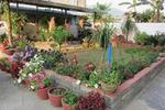Photos of Rustika Guest House