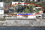 Paco Mare - Image 9