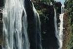 Sabie Backpackers Lodge - Image 2