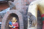 the Sparkling Turtle Backpackers Hostel - Image 7