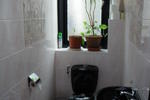 Lazy Monkeys - Image 6