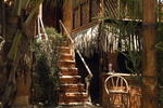 Photos of Naif Rustic & Ecologic Lodge