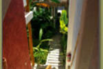 Elements of the Island - Image 4