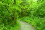 Rockmount Bed and Breakfast - Image 2