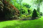 Rockmount Bed and Breakfast - Image 10