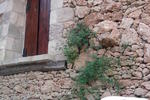 Villa Mama Lecce - Image 3