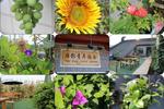 Xi'an Yan Ying Youth Hostel - Image 1