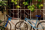 Photos of Bike Hostel Plovdiv