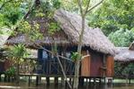 Photos of Muyuna Amazon Lodge