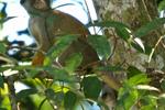 Photos of Muyuna Amazon Lodge