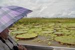 Photos of Muyuna Amazon Lodge