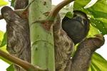 Photos of Muyuna Amazon Lodge