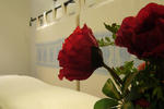 Old Caralis - Image 3