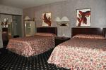 Shalimar Hostel - Image 6