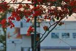 Mewar Inn - Image 2