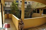 Mewar Inn - Image 9