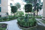 Photos of Casa Rosa Roma