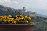 B&B Colle San Francesco - Image 6