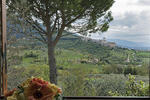 B&B Colle San Francesco - Image 8