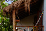 Photos of El Duende Del Mar