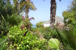 Number 5 Cabo Pulmo