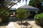 Number 5 Cabo Pulmo - Image 4