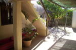 Number 5 Cabo Pulmo - Image 6