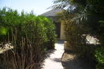 Number 5 Cabo Pulmo - Image 10