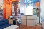 Yes Hostel - Image 7