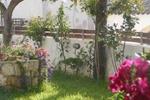 Lemonia Apartments - Image 6