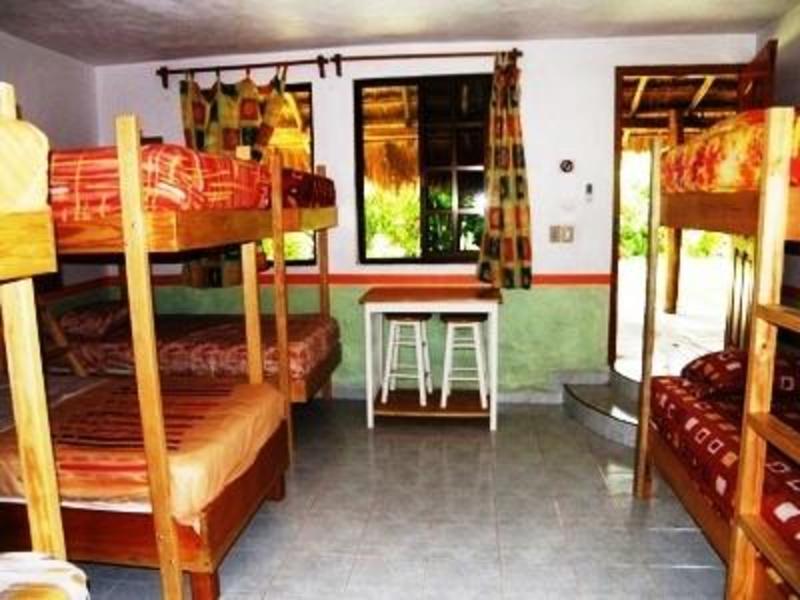 Amigos Hostel Cozumel  3