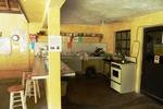 Amigos Hostel Cozumel - Image 5